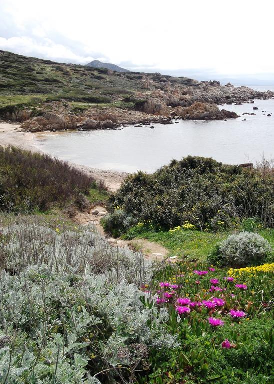 Villetta Cenni Santa Teresa Gallura Exteriér fotografie